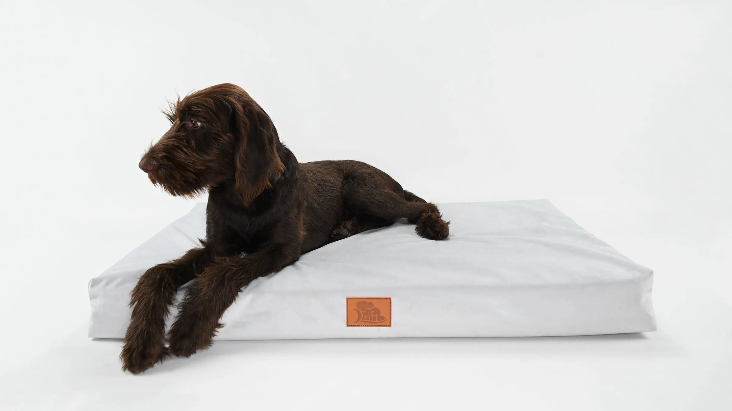 EMbed Drift Pet Bed