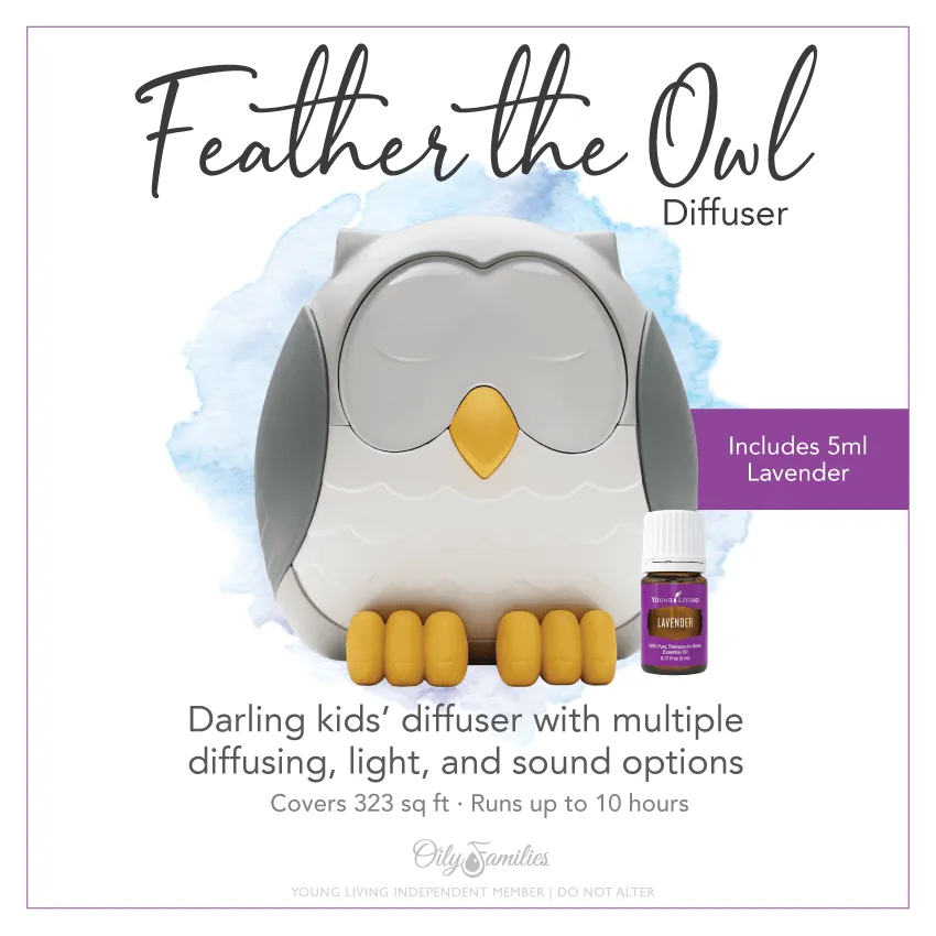 Feather the owl