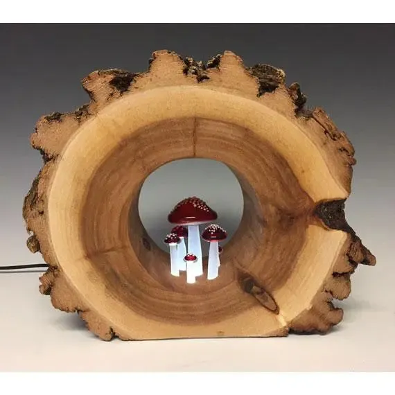 Glass Mushroom in Round Willow Glass Night Light & Ambient Lighting by Sage Churchill-Foster, Sage Studios