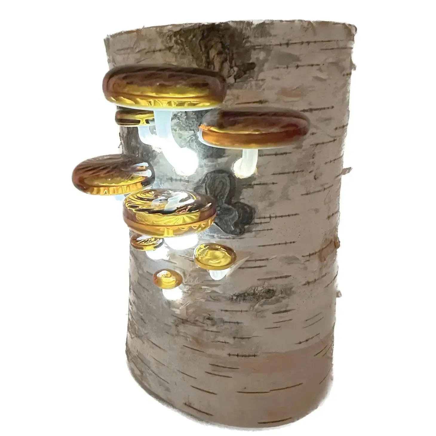Glass Shelf Mushroom Log Lamp Night Light & Ambient Lighting by Sage Churchill-Foster, Sage Studios