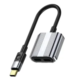 Green Lion 2-in-1 Type-C Splitter Adapter – Dual Type-C Ports for Charging and Audio – Gray