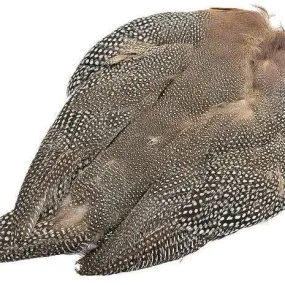 Natural Guinea Skin