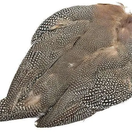 Natural Guinea Skin
