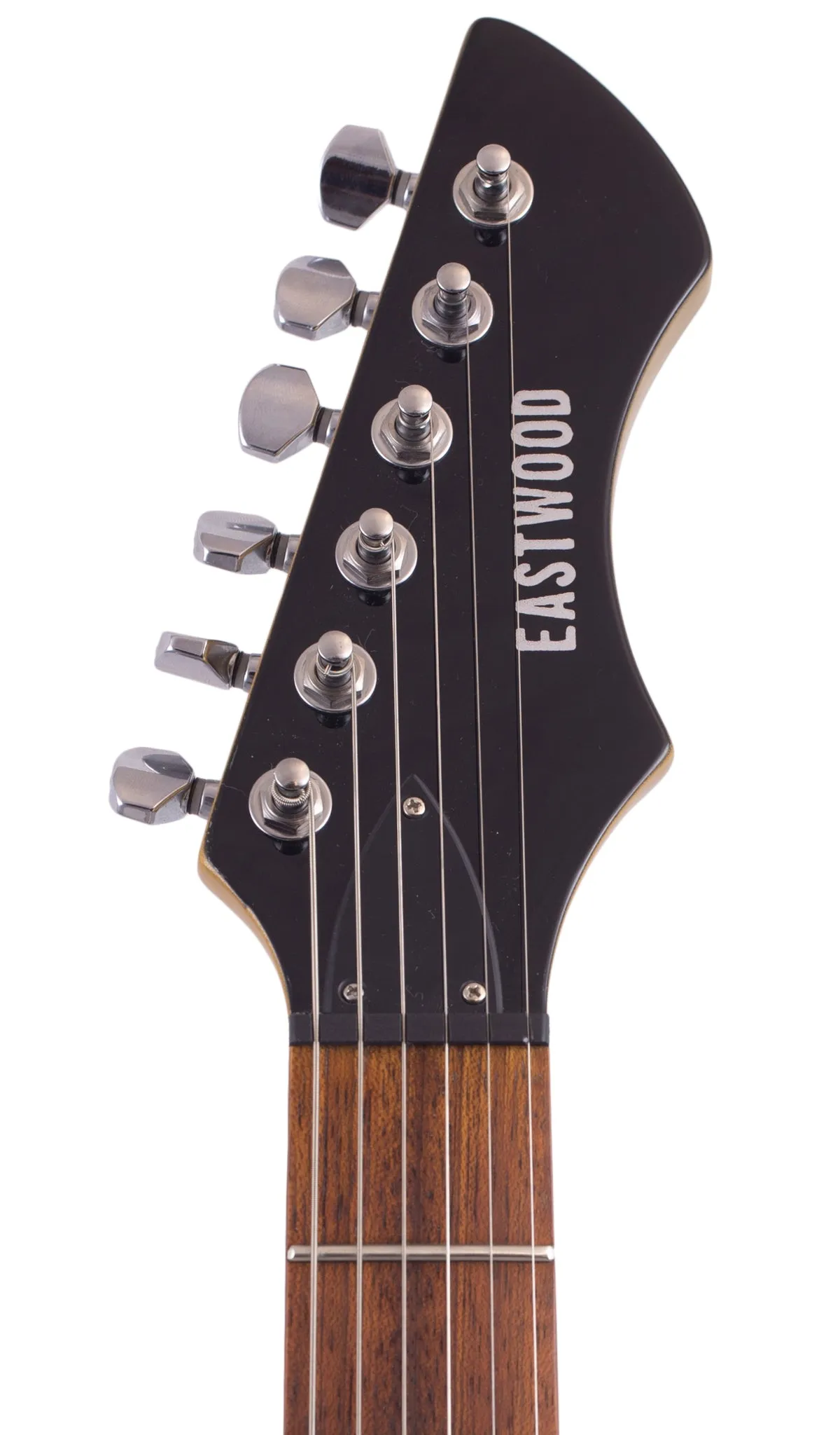 Stormbird