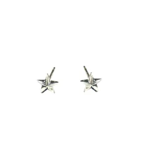 Tiny Star Stud Earrings Silver