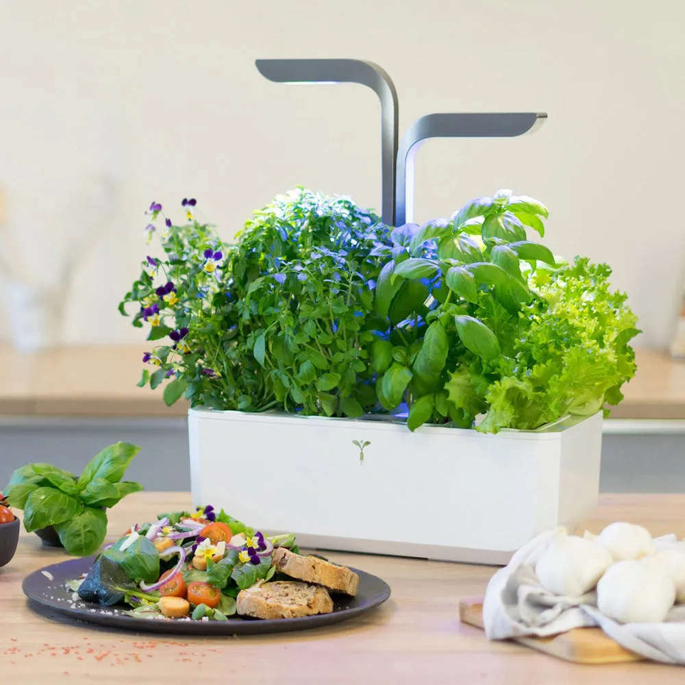 VERITABLE Connect Edition Infinity Grey, 4 Plants