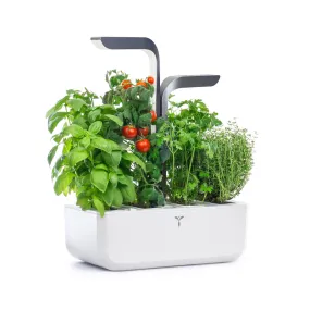 VERITABLE Connect Edition Infinity Grey, 4 Plants
