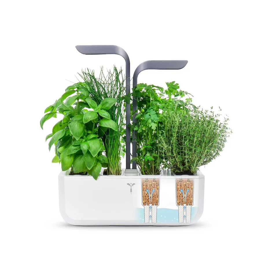 VERITABLE Connect Edition Infinity Grey, 4 Plants