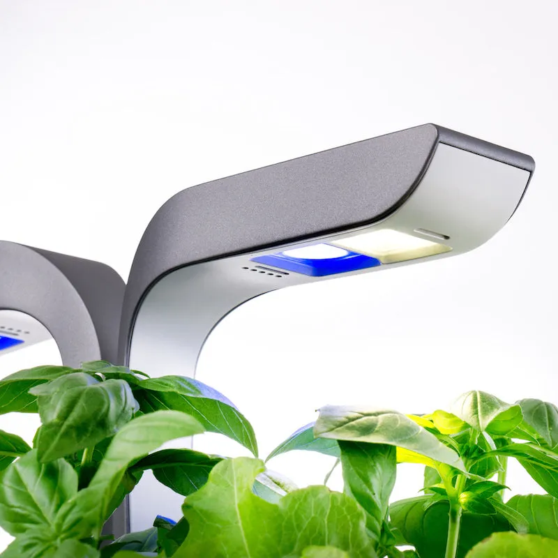 VERITABLE Connect Edition Infinity Grey, 4 Plants