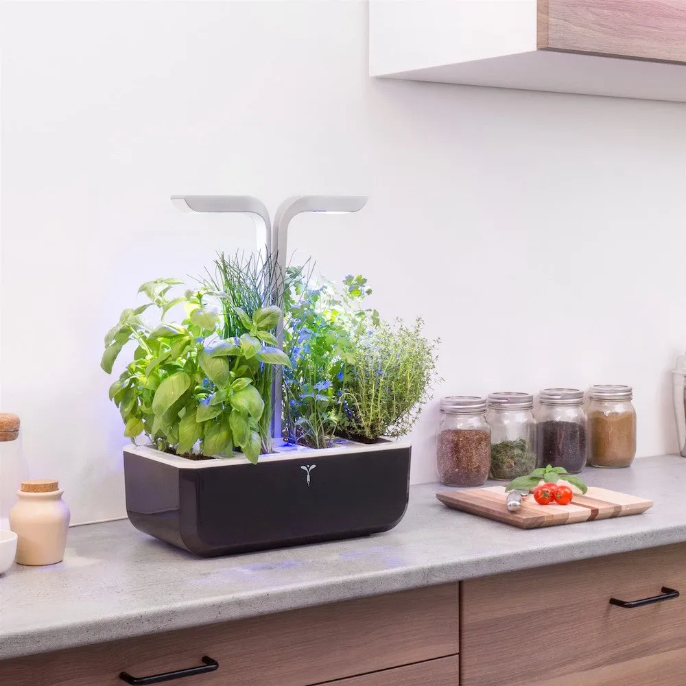 VERITABLE Smart Edition Black, 4 Plants