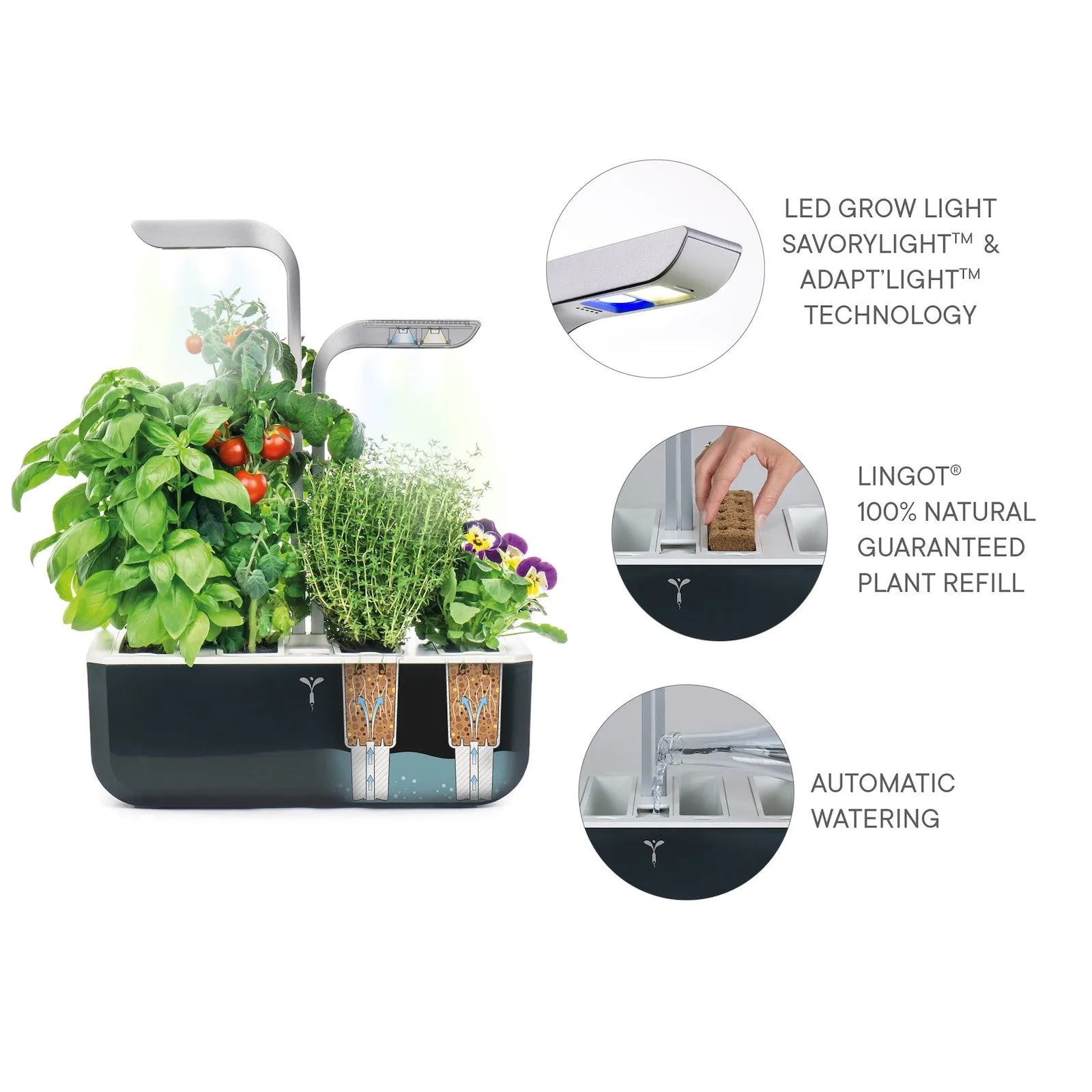 VERITABLE Smart Edition Black, 4 Plants