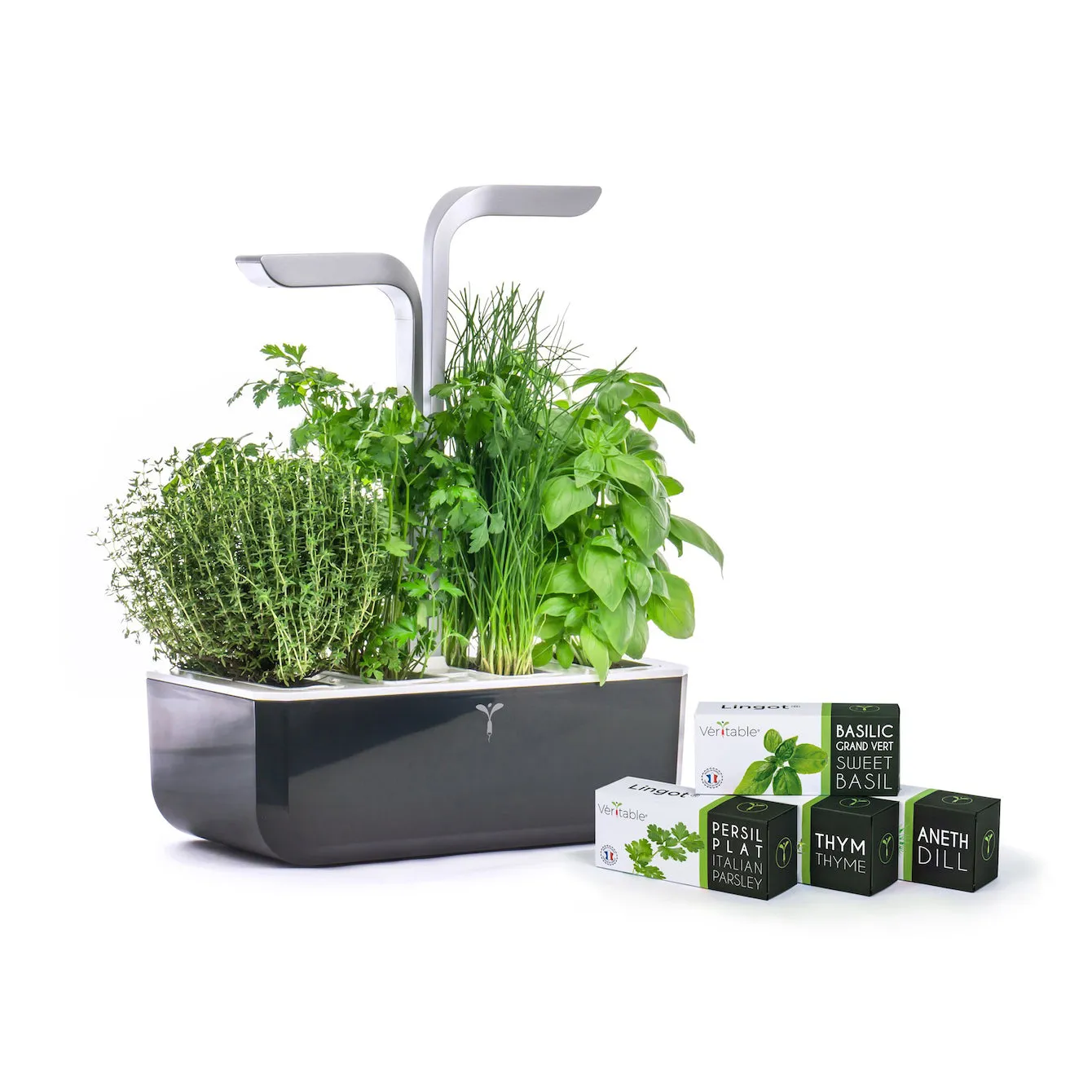 VERITABLE Smart Edition Black, 4 Plants