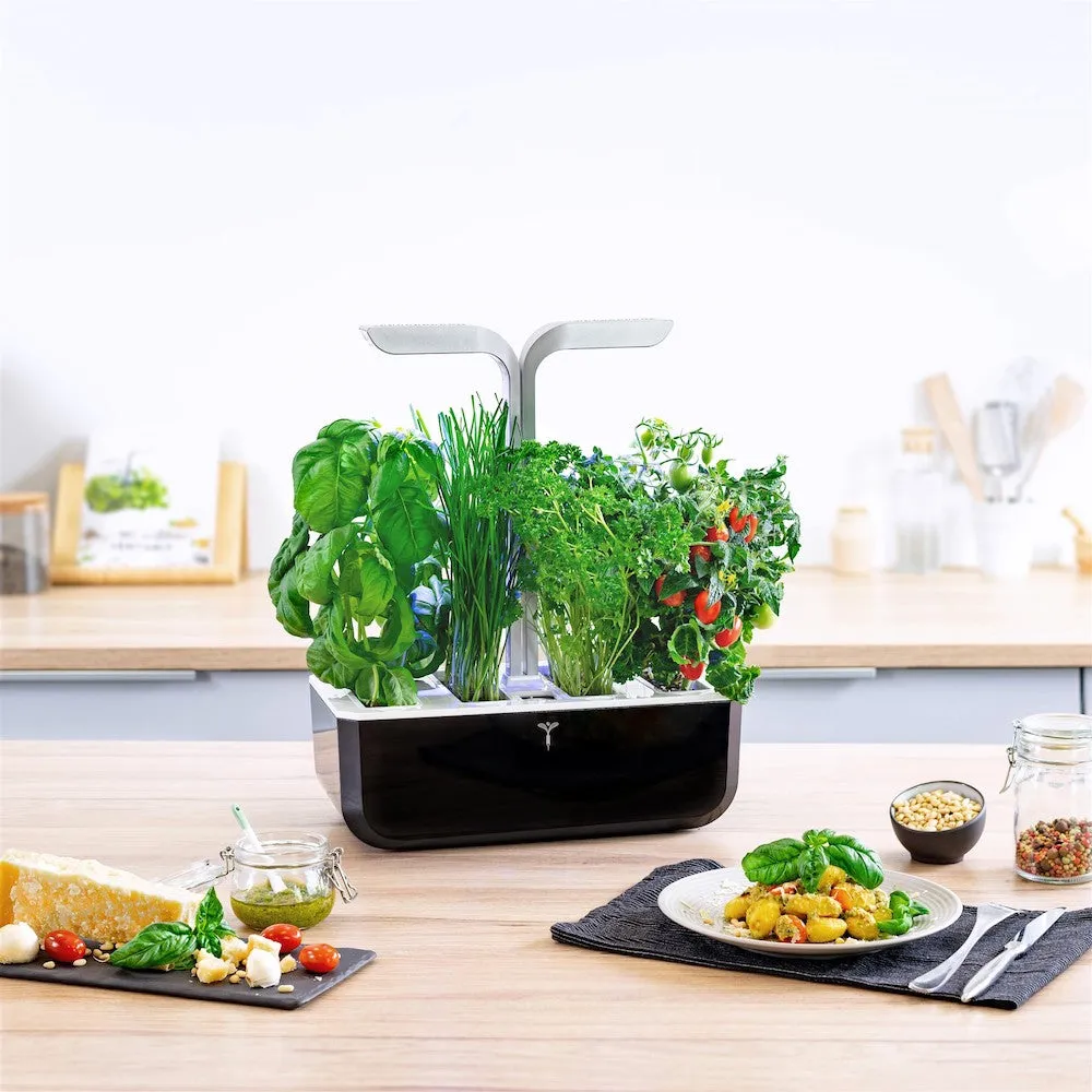 VERITABLE Smart Edition Black, 4 Plants