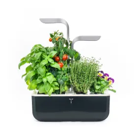 VERITABLE Smart Edition Black, 4 Plants