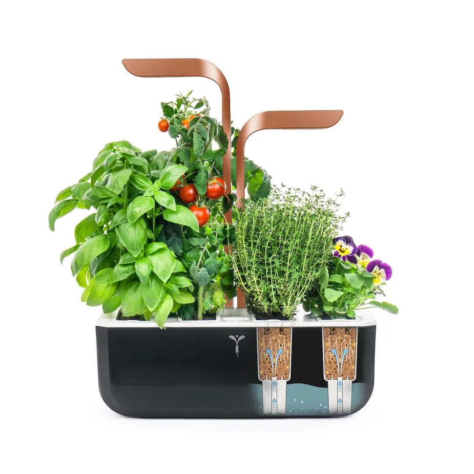 VERITABLE Smart Edition Copper, 4 Plants