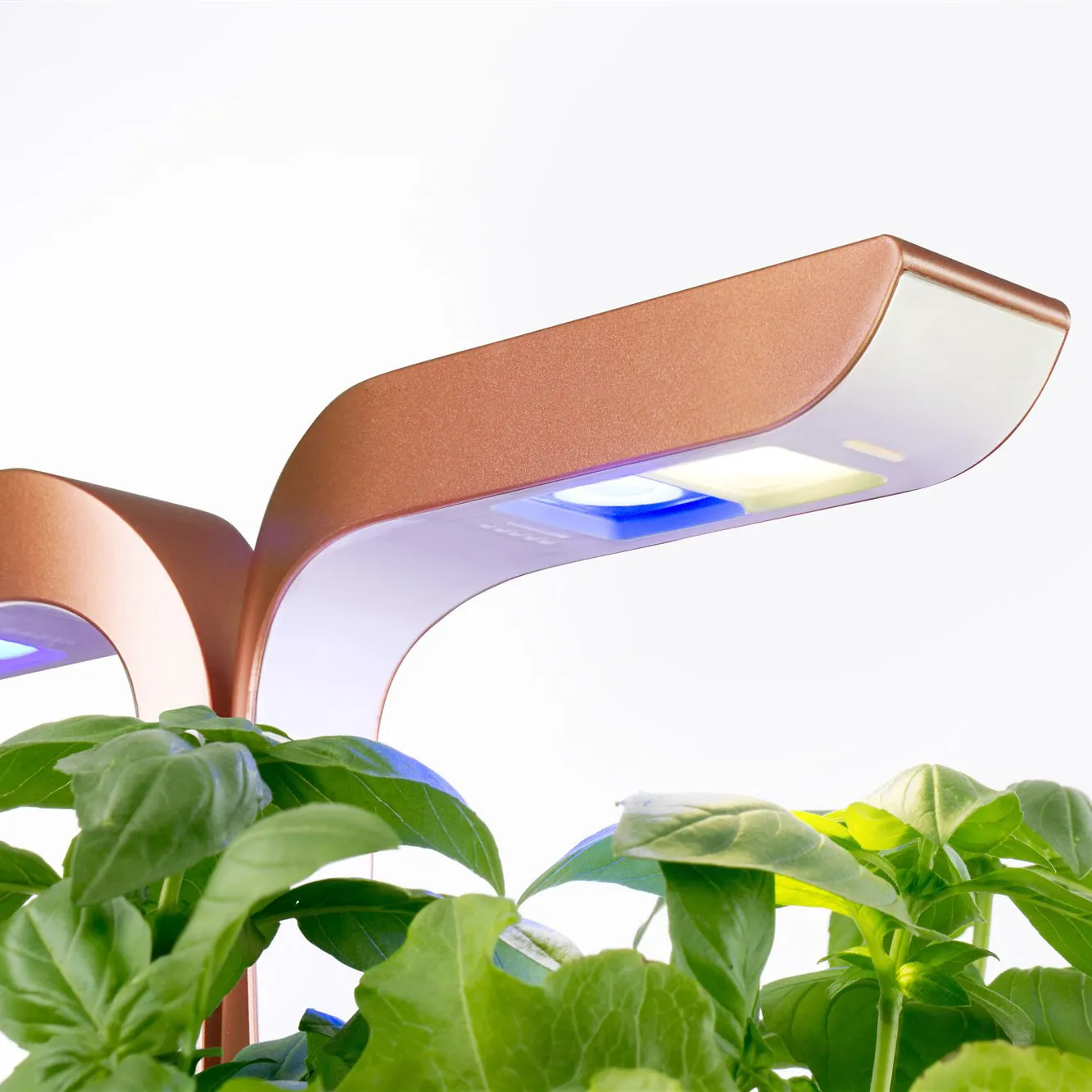 VERITABLE Smart Edition Copper, 4 Plants