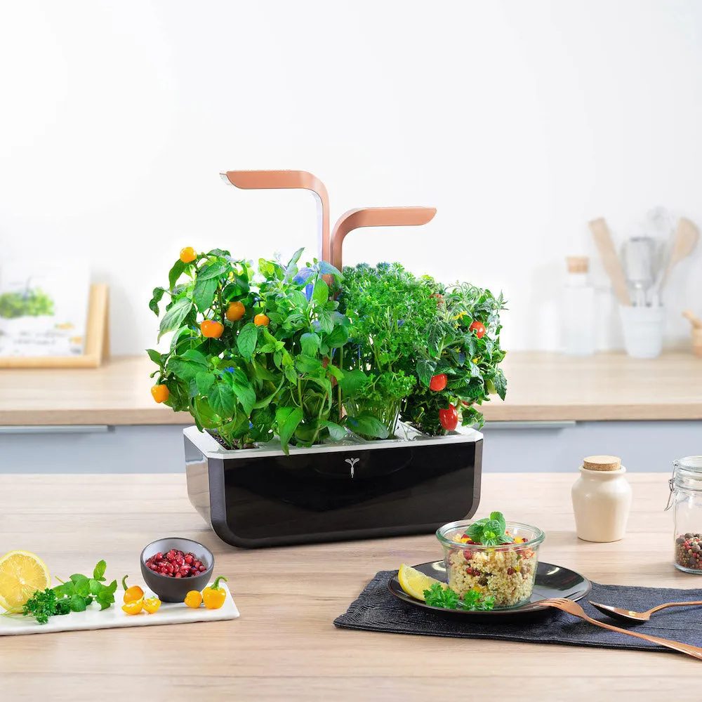 VERITABLE Smart Edition Copper, 4 Plants
