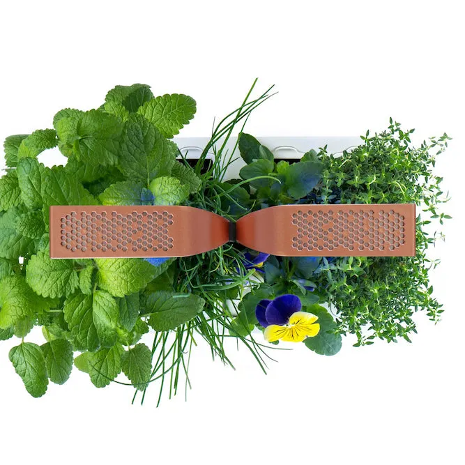 VERITABLE Smart Edition Copper, 4 Plants