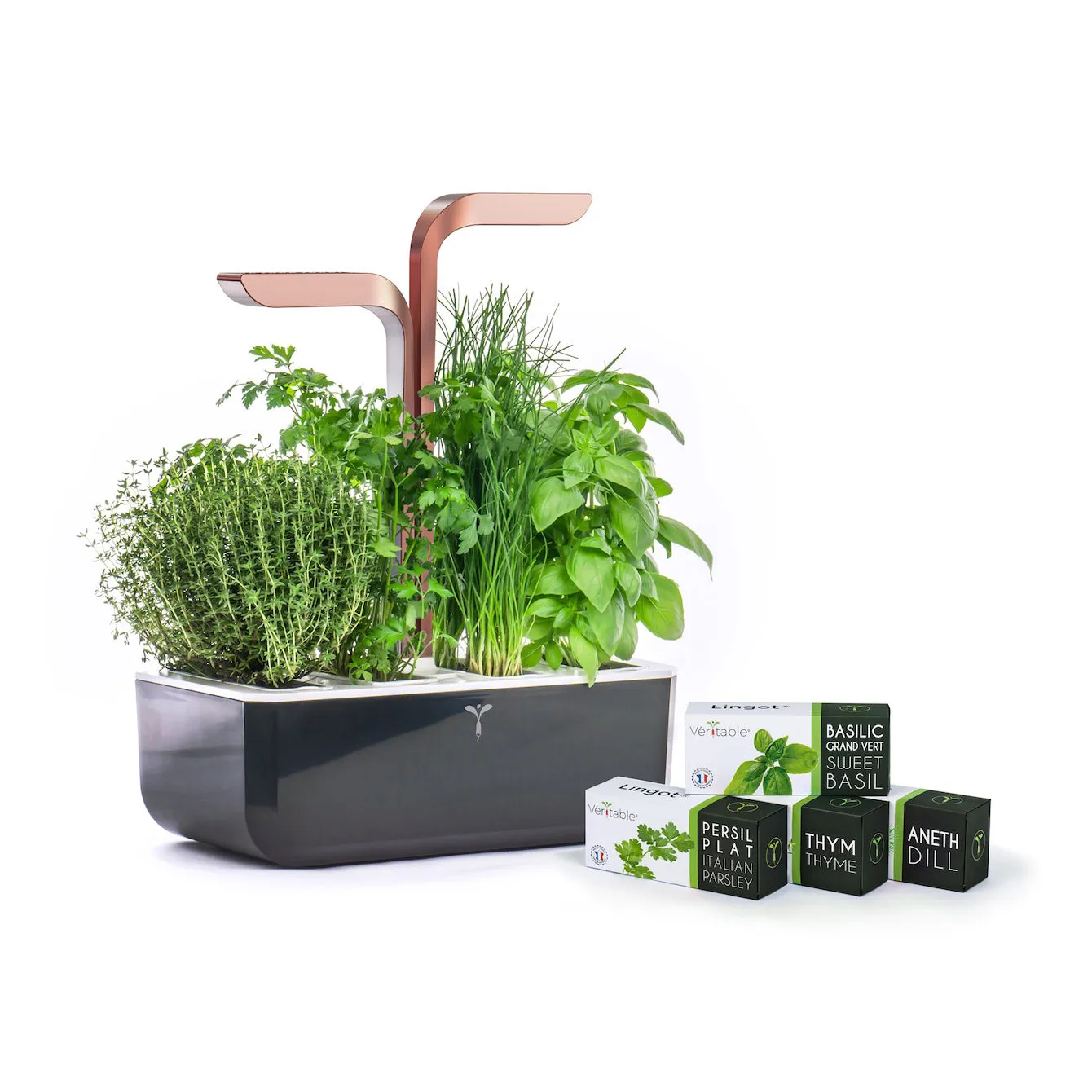 VERITABLE Smart Edition Copper, 4 Plants