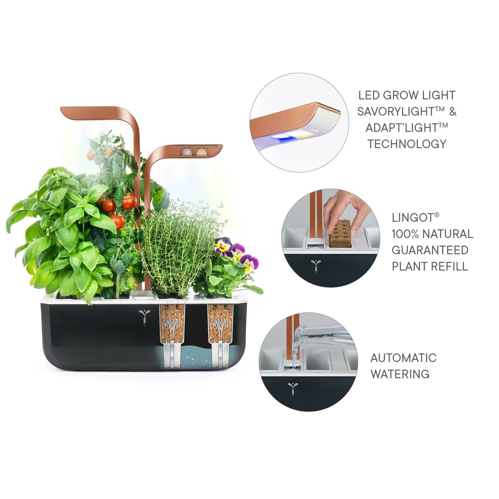 VERITABLE Smart Edition Copper, 4 Plants