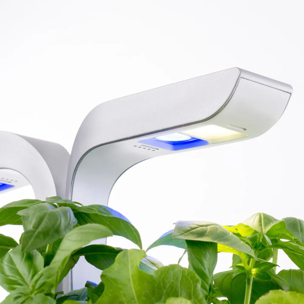 VERITABLE Smart Edition White, 4 Plants