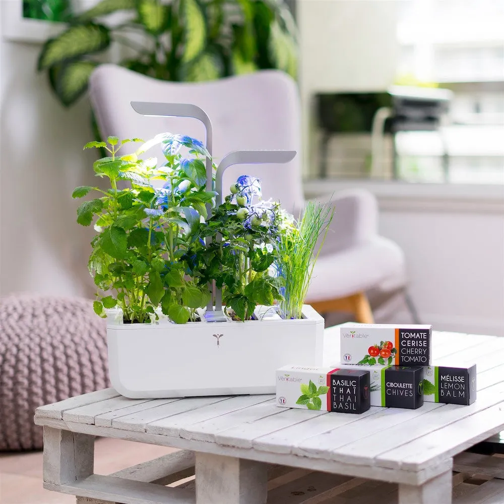 VERITABLE Smart Edition White, 4 Plants