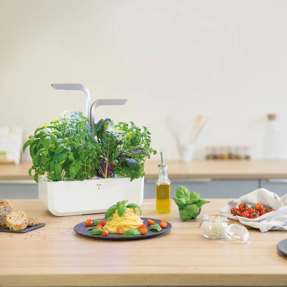 VERITABLE Smart Edition White, 4 Plants