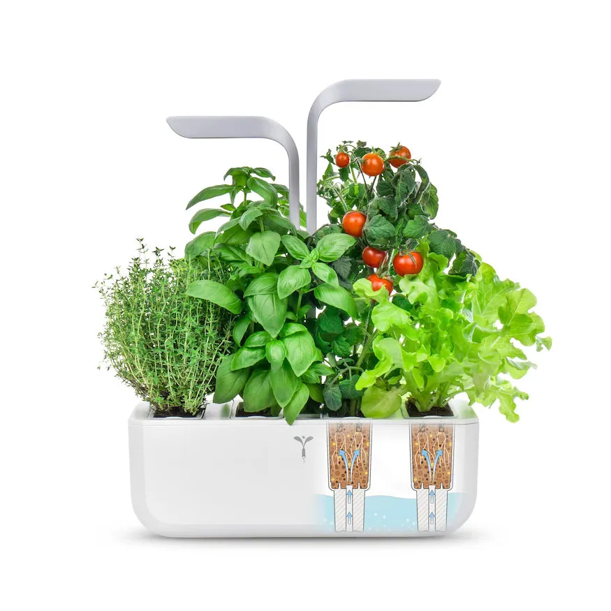 VERITABLE Smart Edition White, 4 Plants