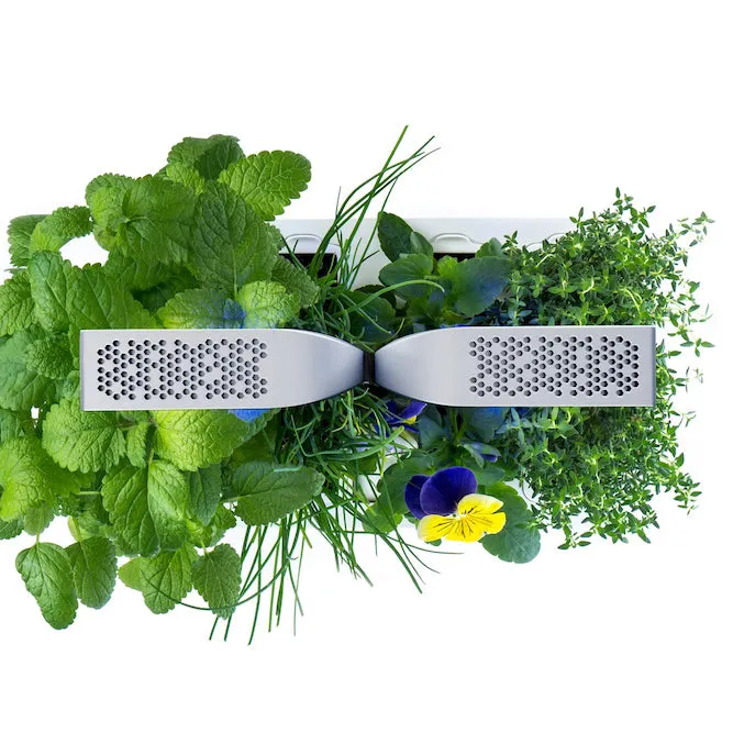 VERITABLE Smart Edition White, 4 Plants