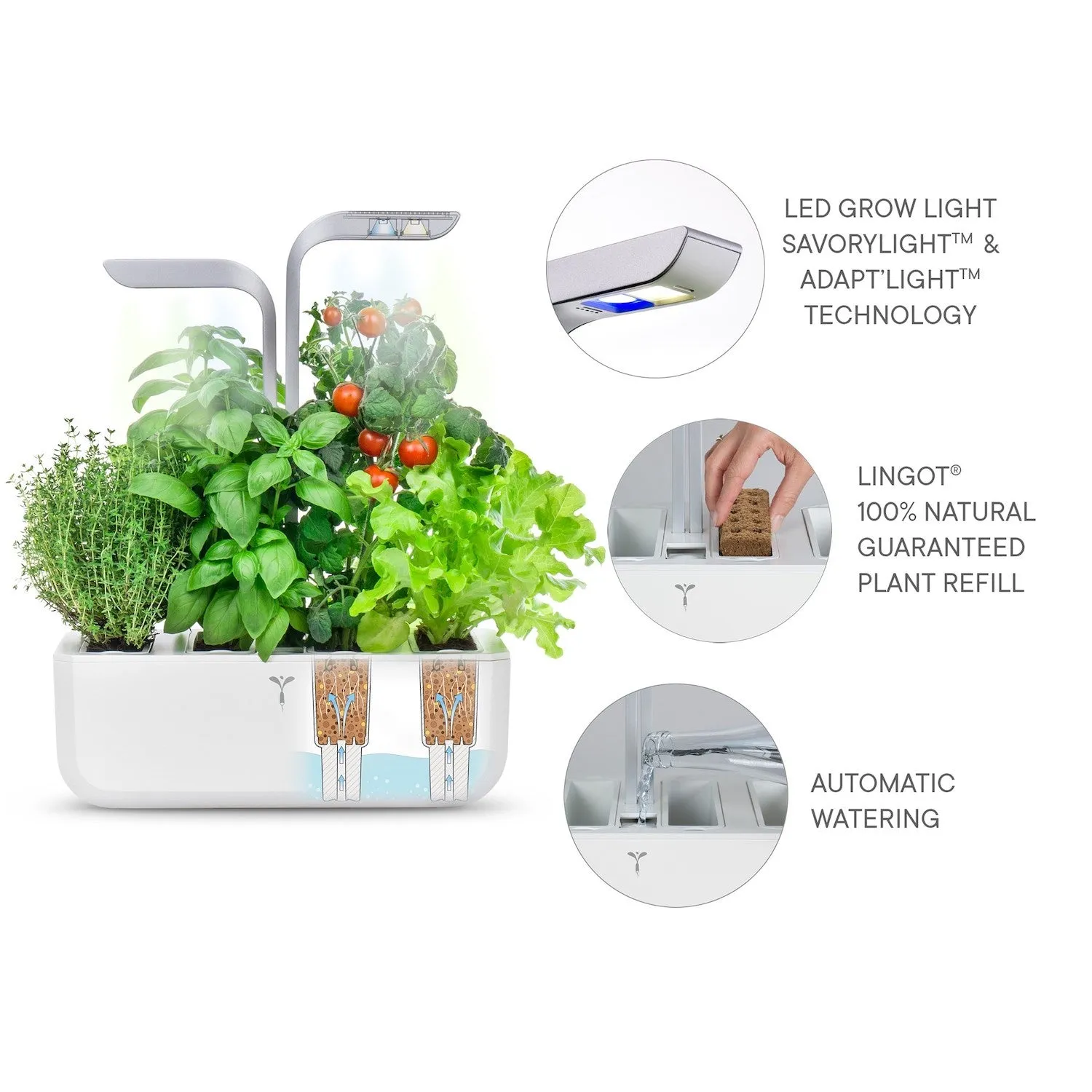 VERITABLE Smart Edition White, 4 Plants
