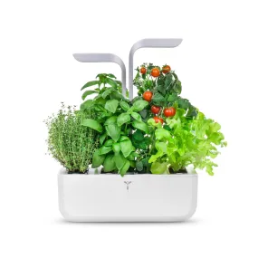 VERITABLE Smart Edition White, 4 Plants