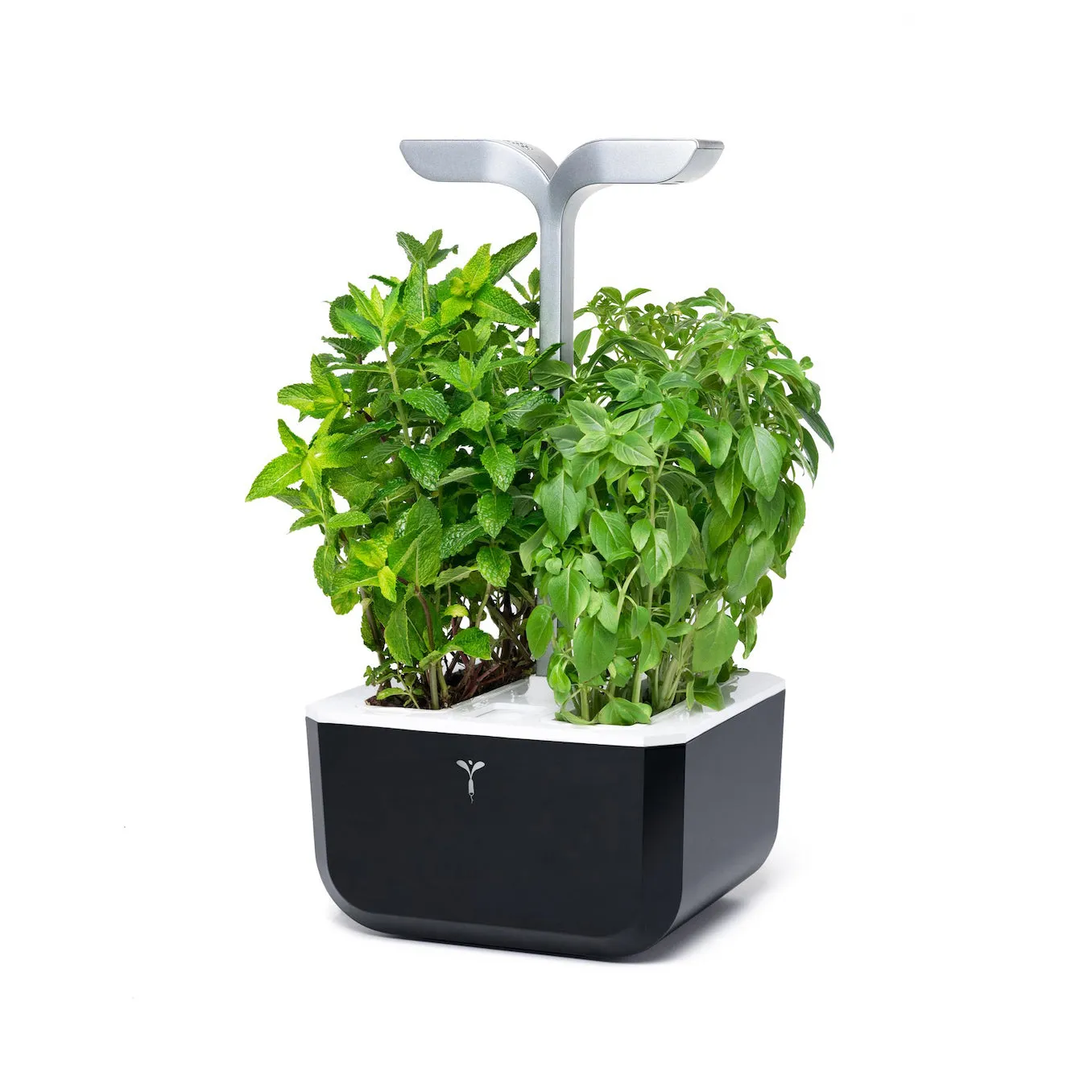 VERITABLE Smart Exky Edition Black, 2 Plants