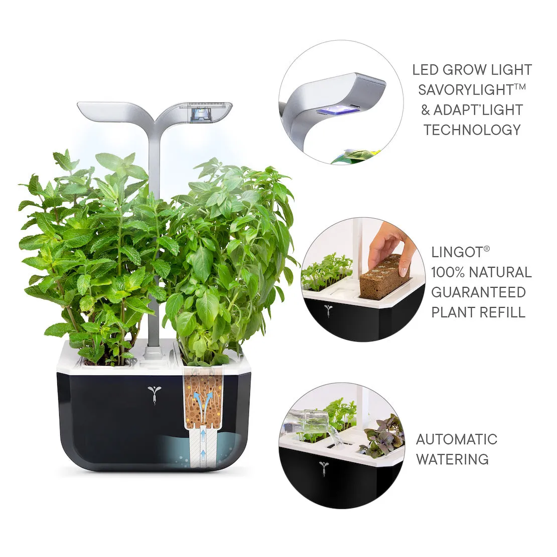VERITABLE Smart Exky Edition Black, 2 Plants