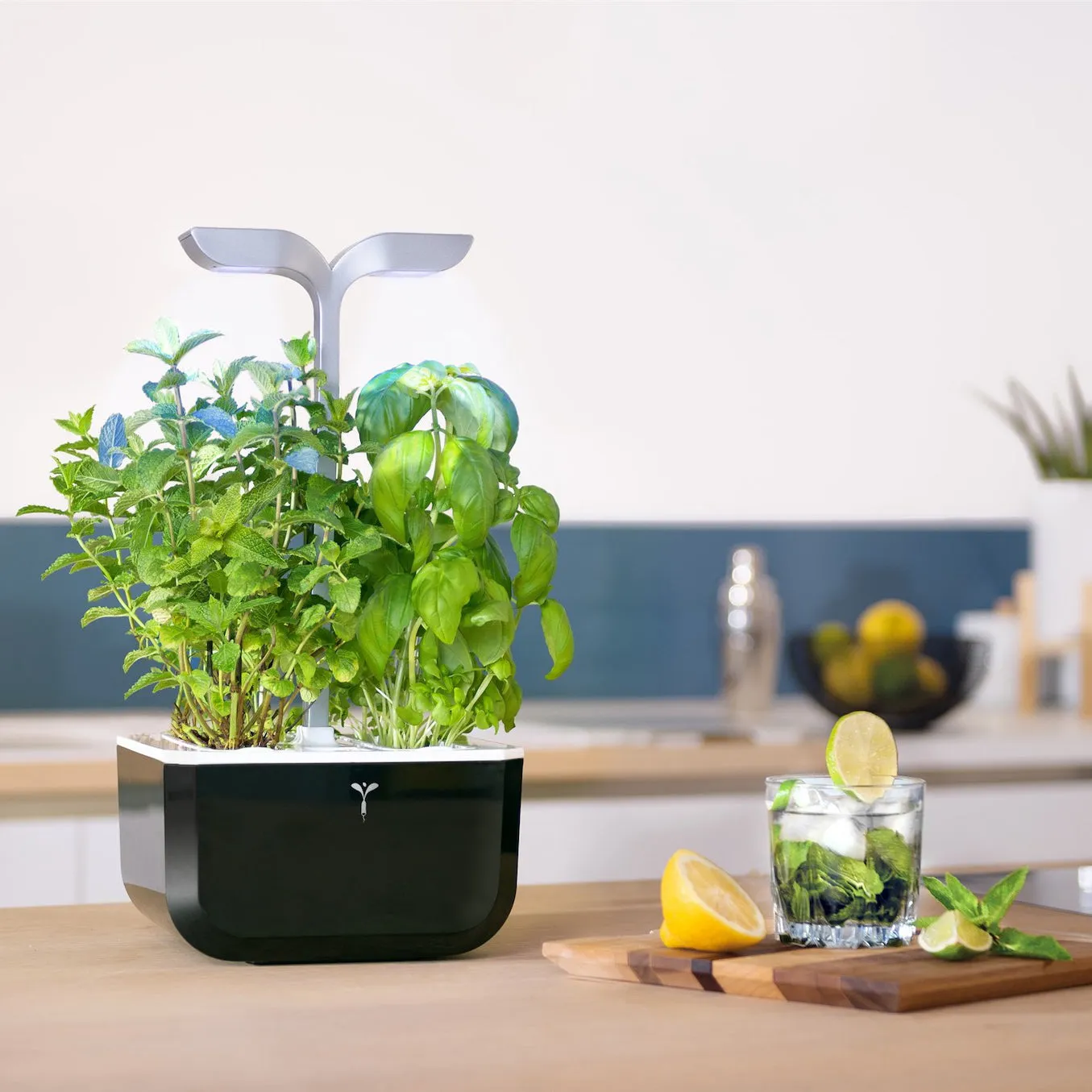 VERITABLE Smart Exky Edition Black, 2 Plants