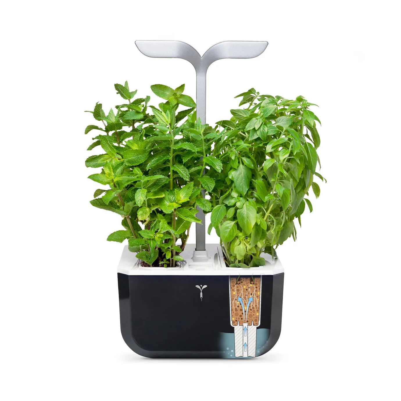 VERITABLE Smart Exky Edition Black, 2 Plants