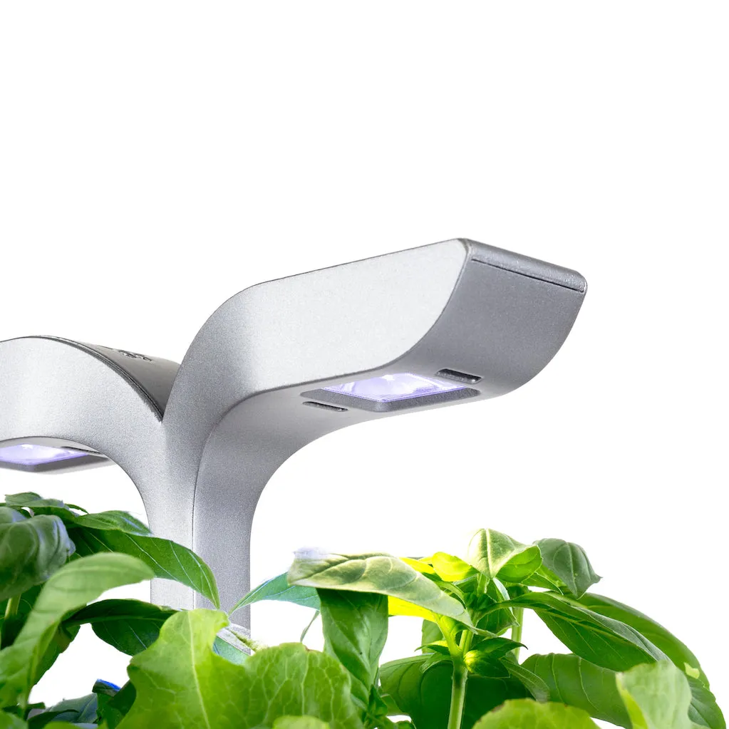 VERITABLE Smart Exky Edition White, 2 Plants