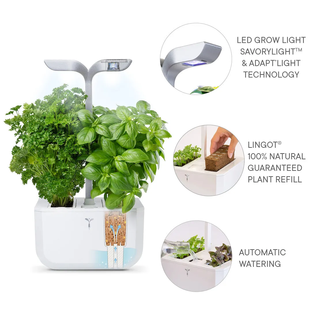 VERITABLE Smart Exky Edition White, 2 Plants