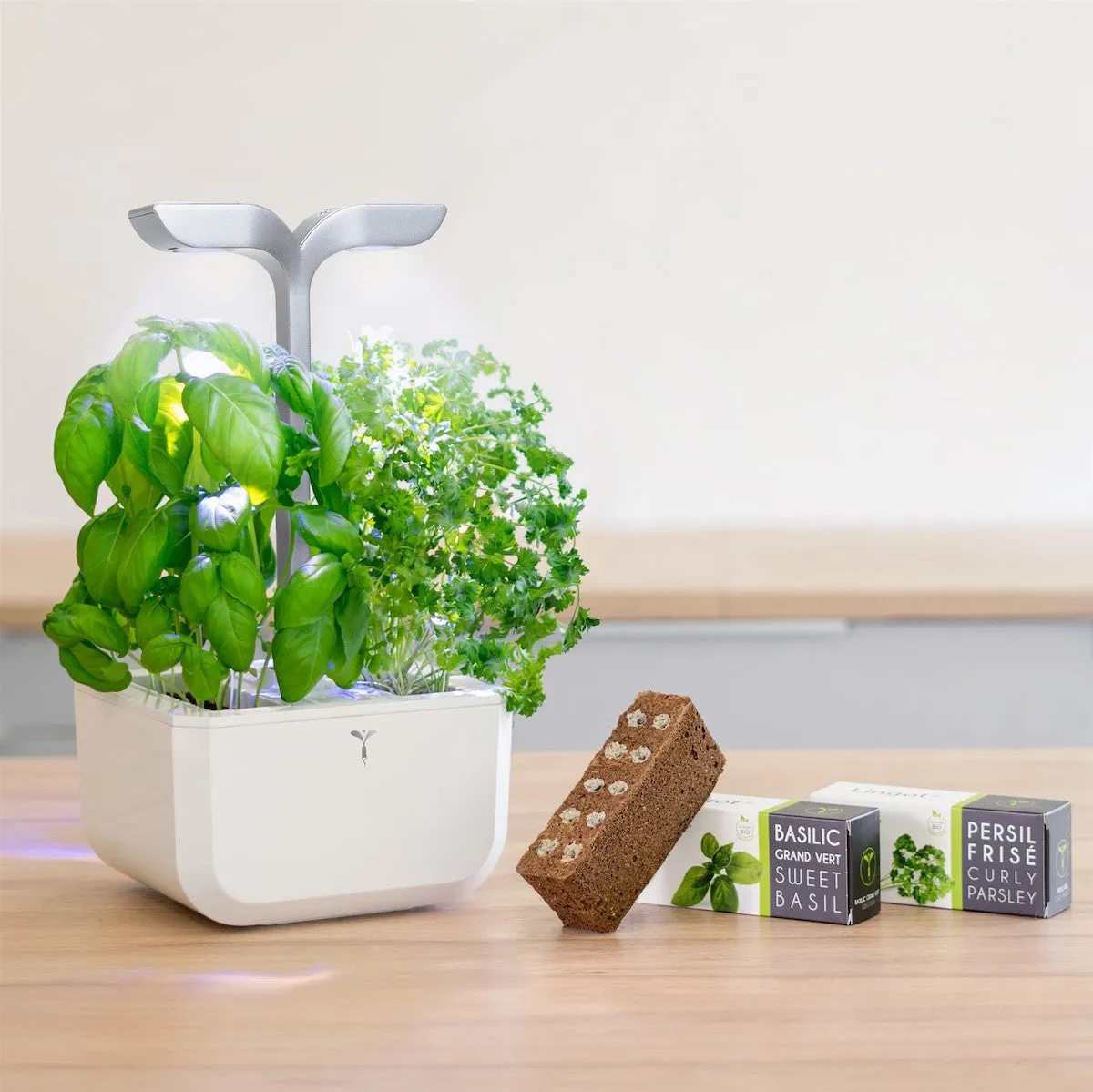 VERITABLE Smart Exky Edition White, 2 Plants