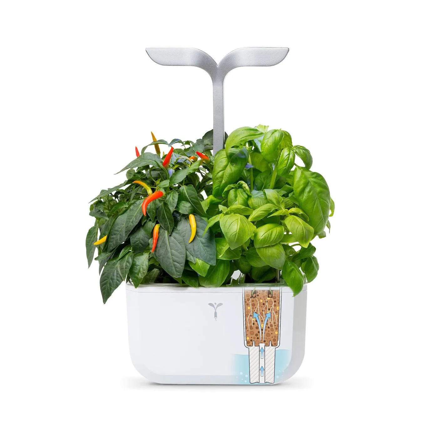 VERITABLE Smart Exky Edition White, 2 Plants