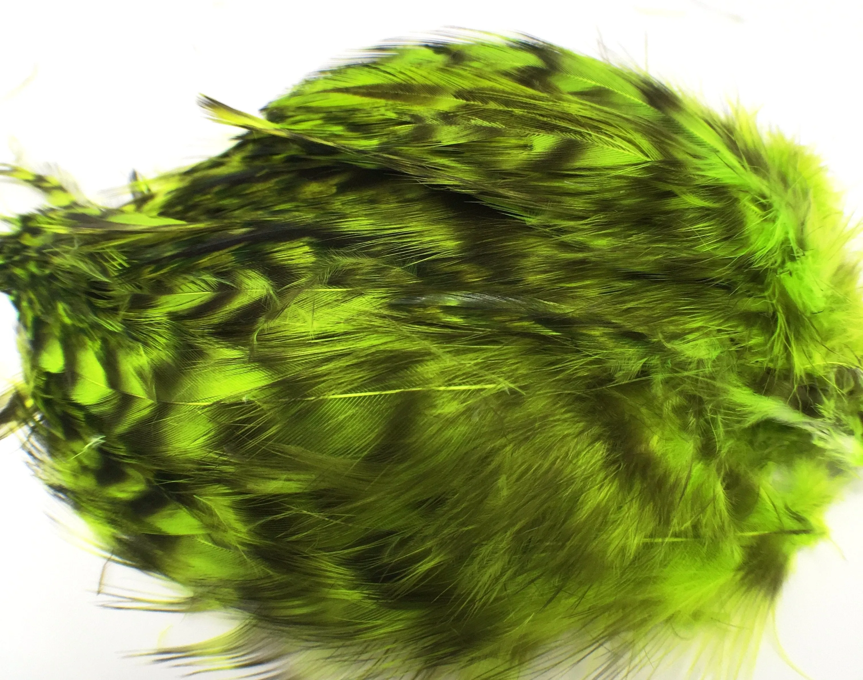 Wapsi Barred Neck Hackle Strung