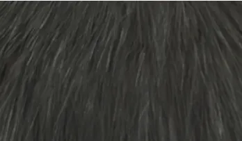 Whiting Bird Fur