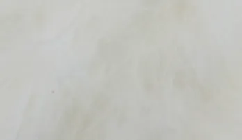 Whiting Bird Fur